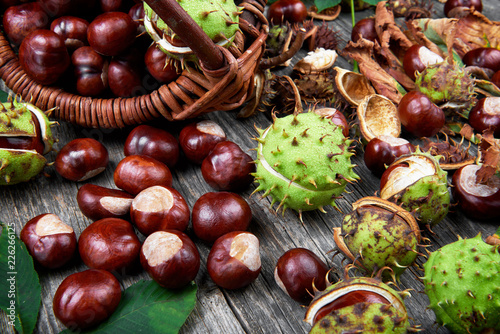 Leaves and fruits of chestnut on wooden table. Autumnal background