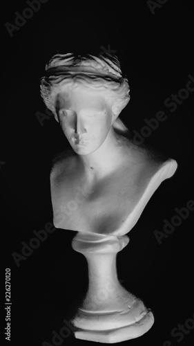 venus art