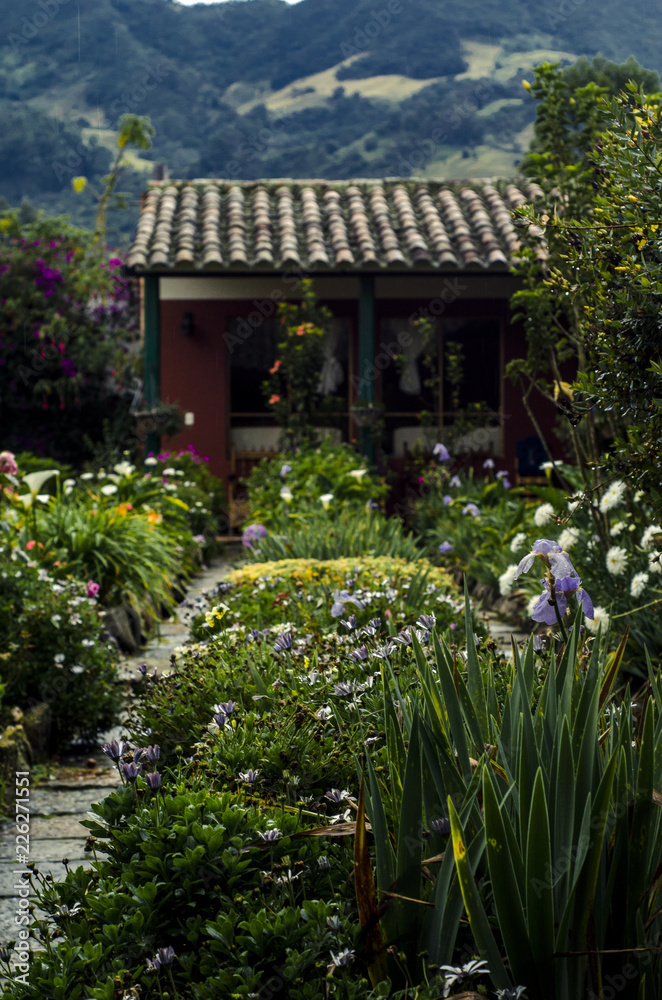 The garden in the mountanis