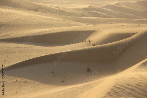 Dubai Emirates sand dunes