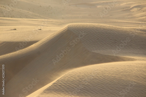 Fototapeta Naklejka Na Ścianę i Meble -  Dubai Emirates sand dunes