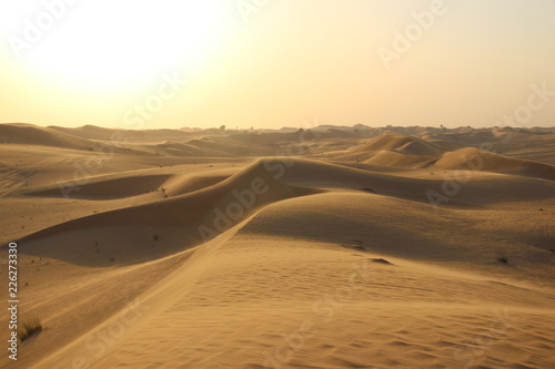 Dubai Emirates sand dunes © Stella Kou