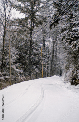 road in winter forest © Franco