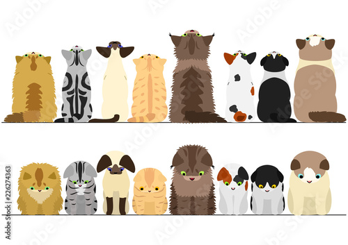 cute cats looking up and down border set