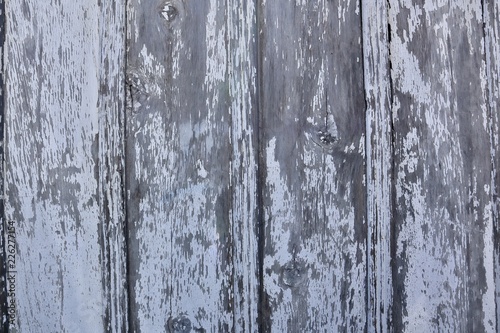 old weathered wooden fence with chipped white paint background