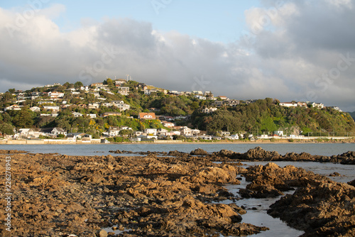 Plimmerton New Zealand hillside 1 photo