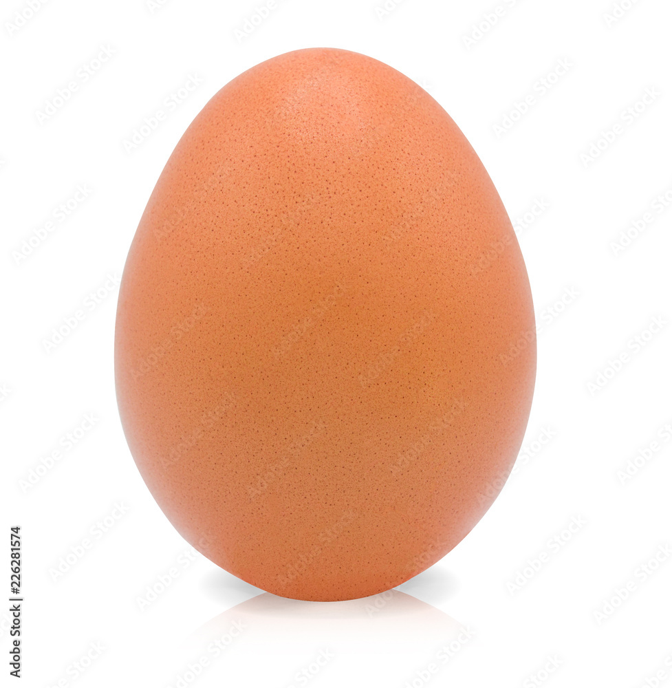 Egg isolated on white background with clipping path,Close up Egg isolated on white background with clipping path,Close up