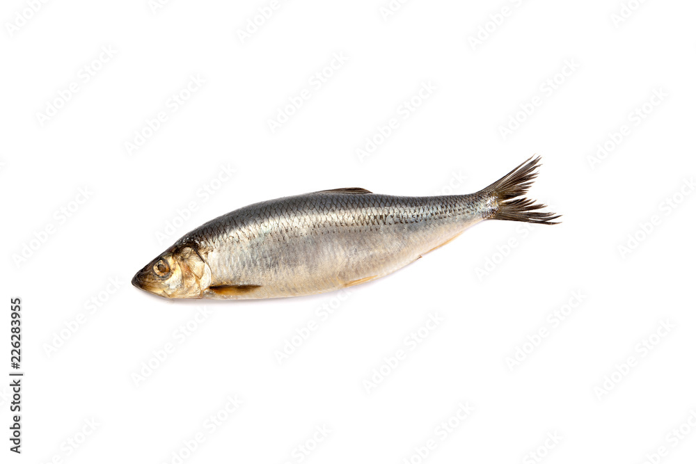 Dried salted fish sticks isolated on white. Dried salted fish sticks isolated on white.