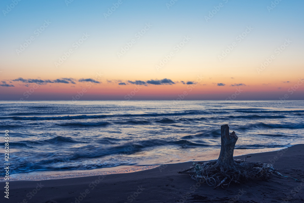 Dawn on the sea, old wood snag on shore