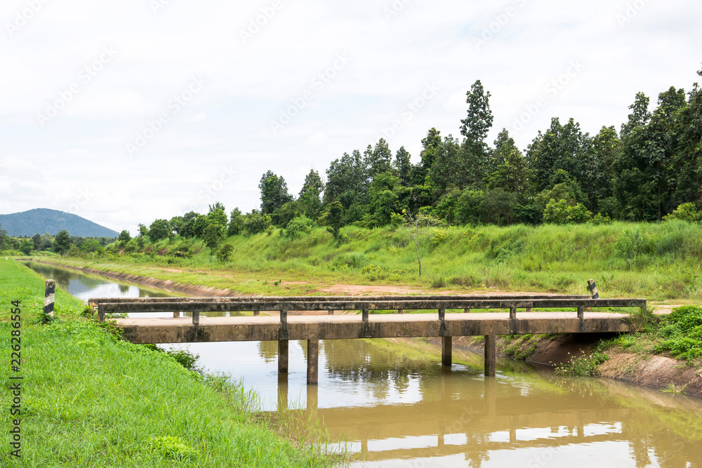 Concrete bridge and irrigation canal with tree background