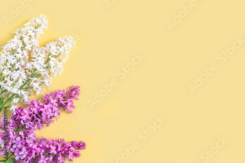 Floral pattern lilac branches and petals on yellow background. Frame.