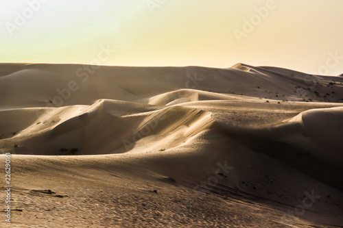 Dubai Emirates desert