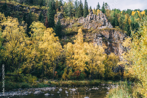 Fototapeta Naklejka Na Ścianę i Meble -  Autumn landscape. Forest, river, stones, rock, leaves.