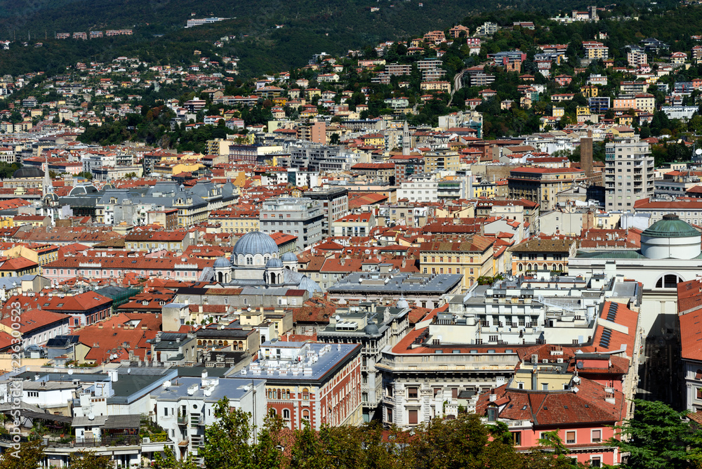 Obraz premium View of View of Trieste City Center, Italy