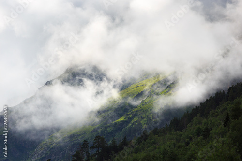 The slope of a mountain with vegetation is hidden by a cloud. Change of weather in the highland region of the Caucasus Mountains. © olgapkurguzova