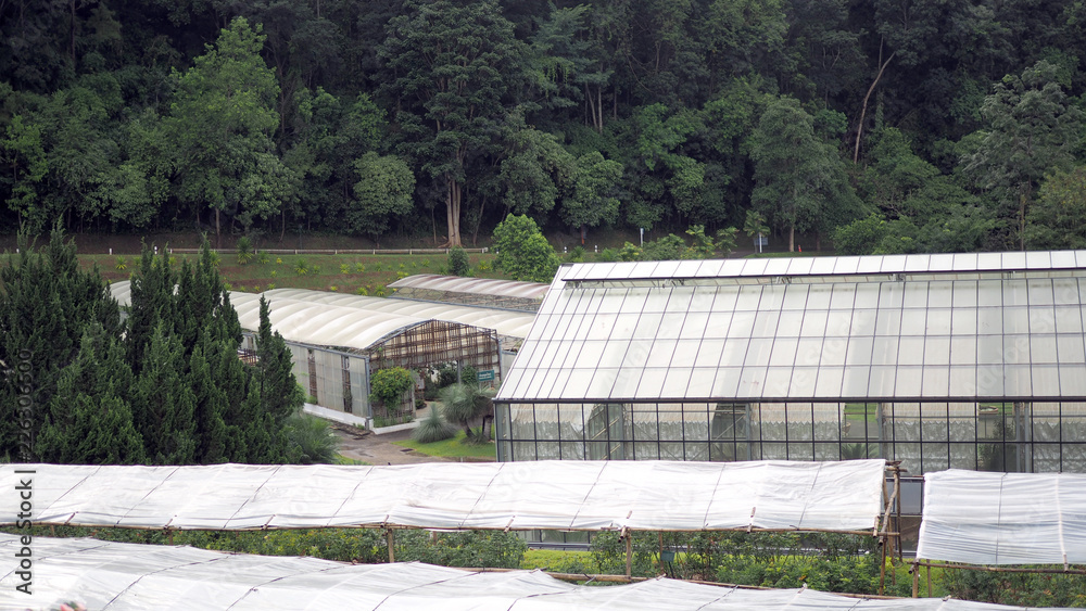 Large greenhouse located in the countryside in Chiang Mai, Thailand. Large greenhouse located in the countryside in Chiang Mai, Thailand.