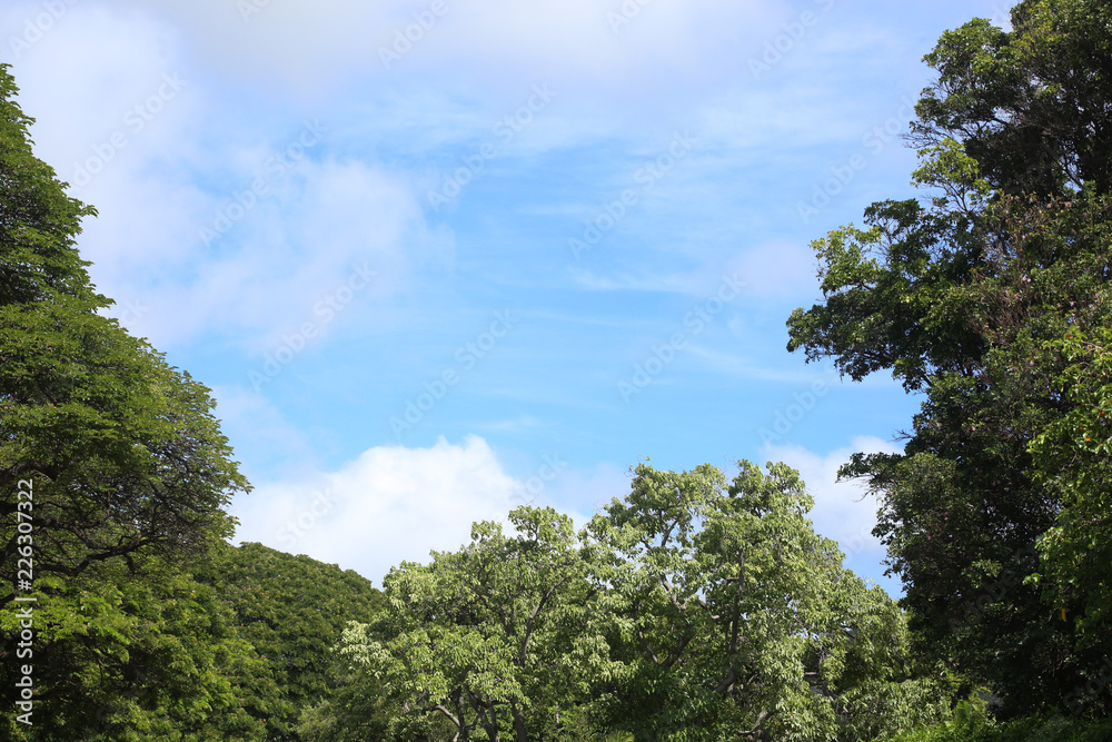 Obraz premium 하늘