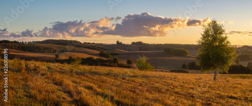 Fototapeta Naklejka Na Ścianę i Meble -  panorama of fields and meadows on a magnificent misty and sunny morning. landscape picture resembling Italian Tuscany. Autumn, Poland, Drawsko Lake District