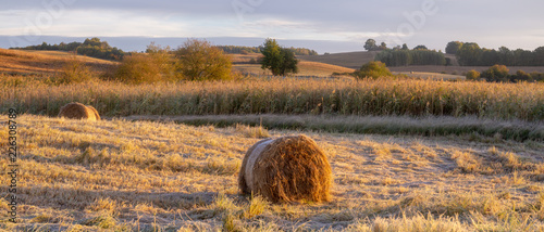 Fototapeta Naklejka Na Ścianę i Meble -  panorama of fields and meadows on a magnificent misty and sunny morning. landscape picture resembling Italian Tuscany. Autumn, Poland, Drawsko Lake District