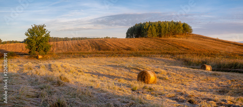 Fototapeta Naklejka Na Ścianę i Meble -  panorama of fields and meadows on a magnificent misty and sunny morning. landscape picture resembling Italian Tuscany. Autumn, Poland, Drawsko Lake District