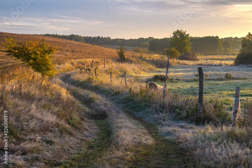 Fototapeta Naklejka Na Ścianę i Meble -  country road among fields and meadows. landscape picture resembling Italian Tuscany. Autumn-Poland, Drawskie Lake District