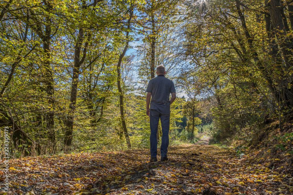 Einsamer Wanderer in einem Laubwald auf einem mit Laub bedeckten Weg Einsamer Wanderer in einem Laubwald auf einem mit Laub bedeckten Weg