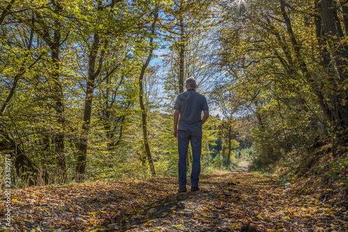 Einsamer Wanderer in einem Laubwald auf einem mit Laub bedeckten Weg © Gottfried Carls