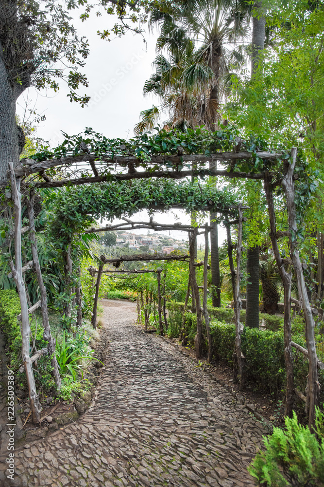 Botanischer Garten in Funchal; Madeira, Portugal Botanischer Garten in Funchal; Madeira, Portugal