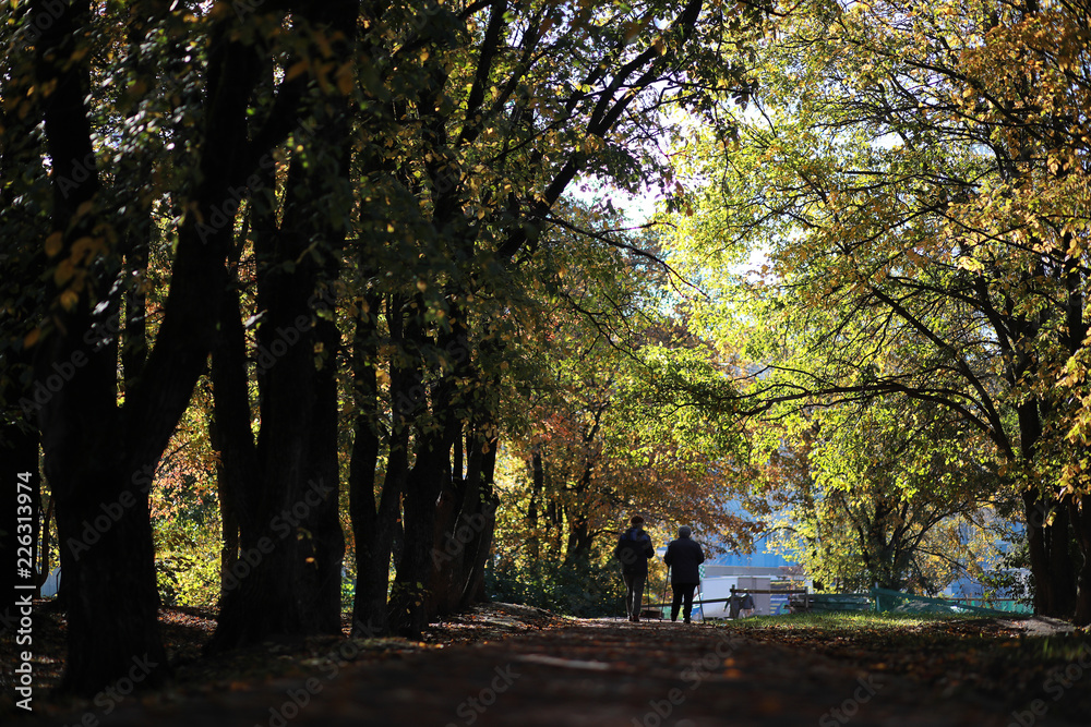 Autumn background in the park