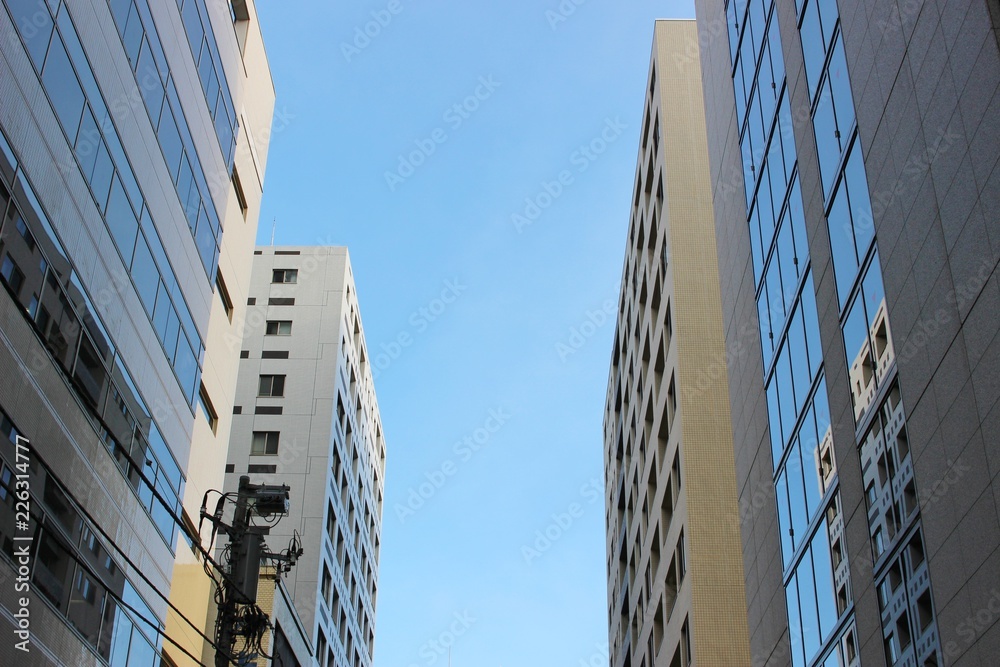 Fototapeta premium 東京 都会の風景 立ち並ぶビル