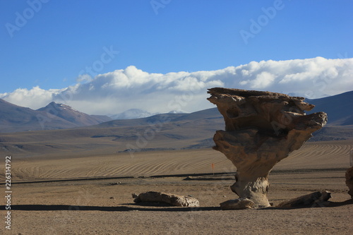 Bolovia Uyuni