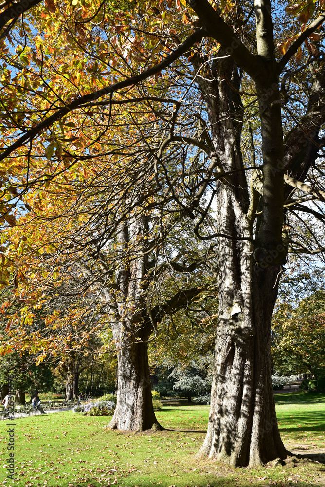 Jardin du Luxembourg en automne à Paris, France Jardin du Luxembourg en automne à Paris, France