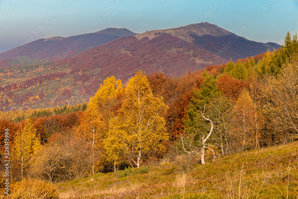 autumn in the mountains, Bieszczady