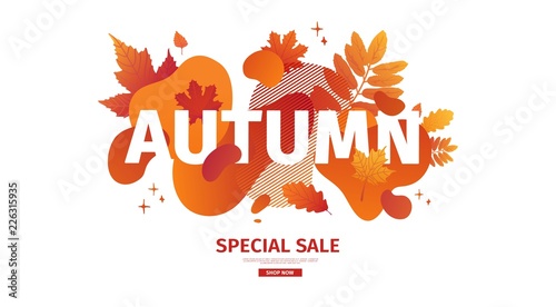 Horizontal abstract geometric design for autumn promotion. Fall offer banner with vector liquid form and decor maple leaf on background. Orange template graphic elements with fluid dynamic shape