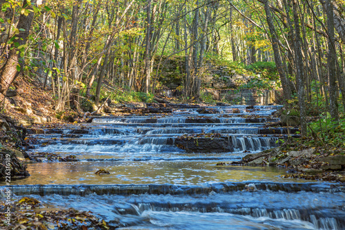 River flowing in a forest ravine