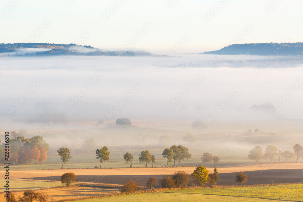Fototapeta premium Morning fog over the fields in a rural landscape with autumn colors
