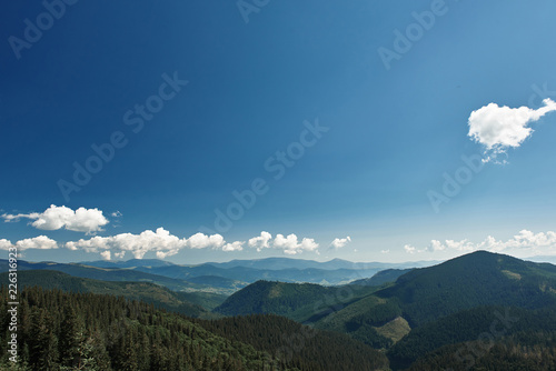 Landscape view of Carpathian mountains covered with coniferous forest © Yakobchuk Olena