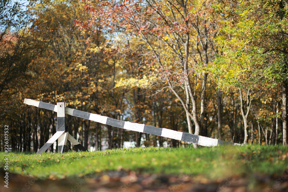 Autumn background in the park Autumn background in the park