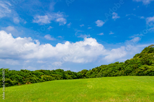沖縄石垣島 草原のある風景