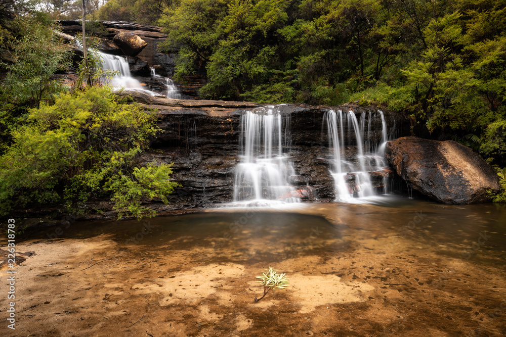 Fototapeta premium wentworth falls