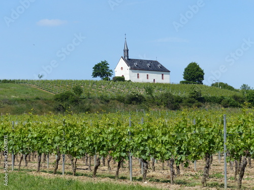 Klausenbergkapelle mit Weinberg in Worms-Abenheim / Rheinhessen