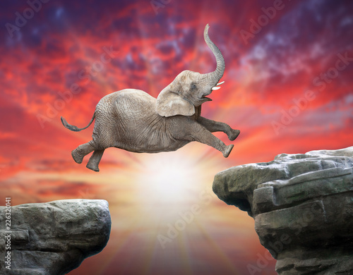 African Elephant jumping over a gap. Successful business metaphor and jump to new year concept.