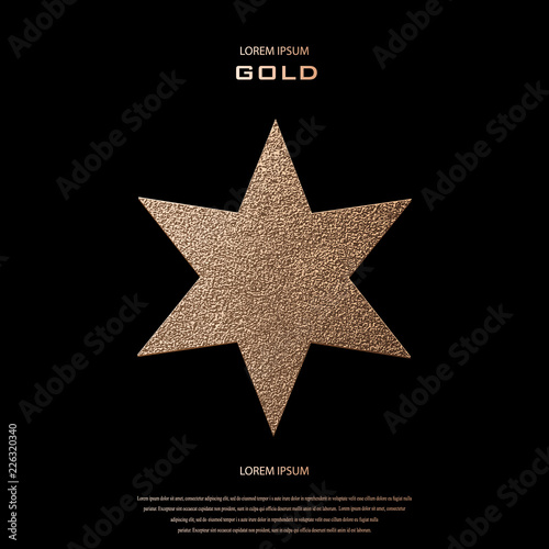 Gold Star logo. Golden shin...
