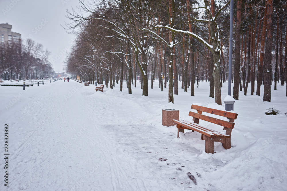 bench in the park in the snow