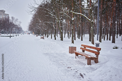 bench in the park in the snow