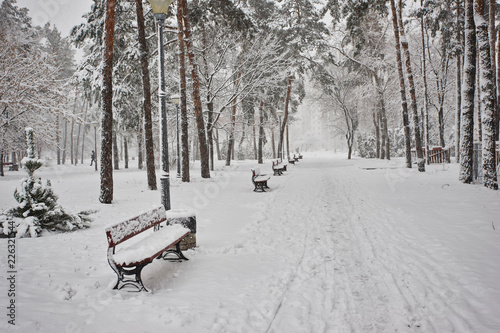 Benches in the winter city park. Filled up with snow.