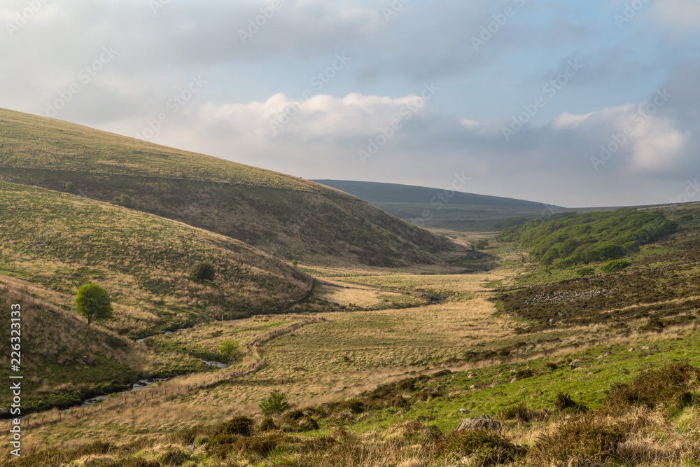 british moorland Dartmoor british moorland Dartmoor