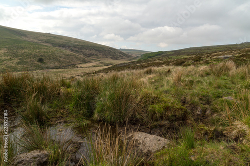 british moorland Dartmoor