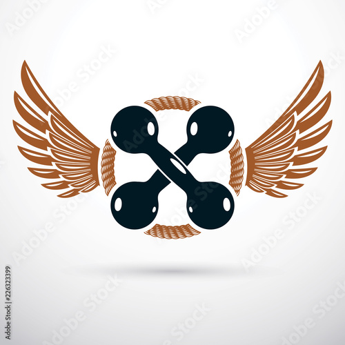 Dumbbell vector illustration composed with wings, fitness and cross fit sport equipment for healthy lifestyle and fitness workout.