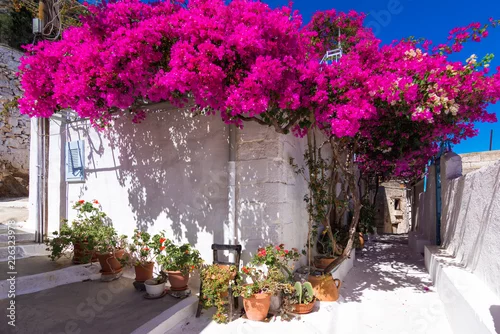 Obraz Wąska ulica w starej wiosce Kritsa, Crete, Grecja